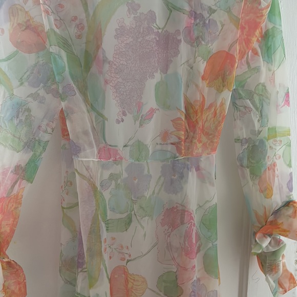 Vintage Mirror Palais Whimsical Renaissance Cover Up - Picture 5 of 6